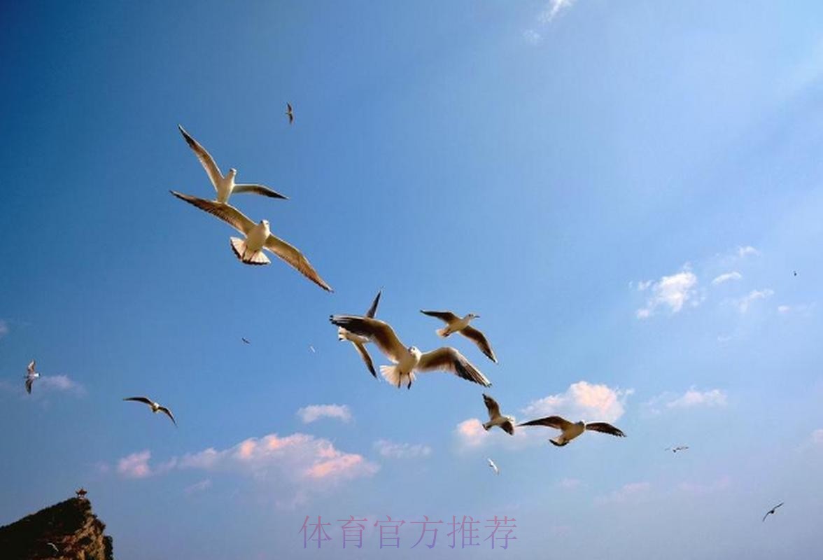 维杜：不够专注致丢球 对方的长传球具威胁